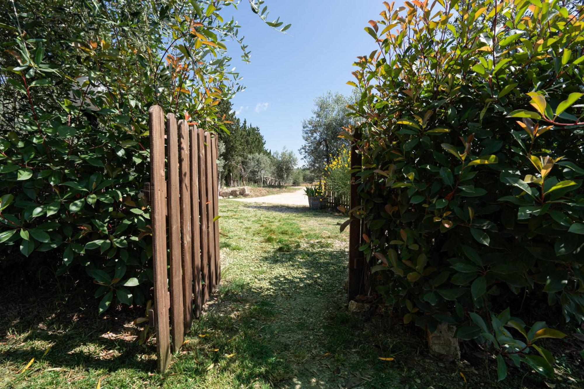 Casa Alta Lägenhet Greve in Chianti Exteriör bild