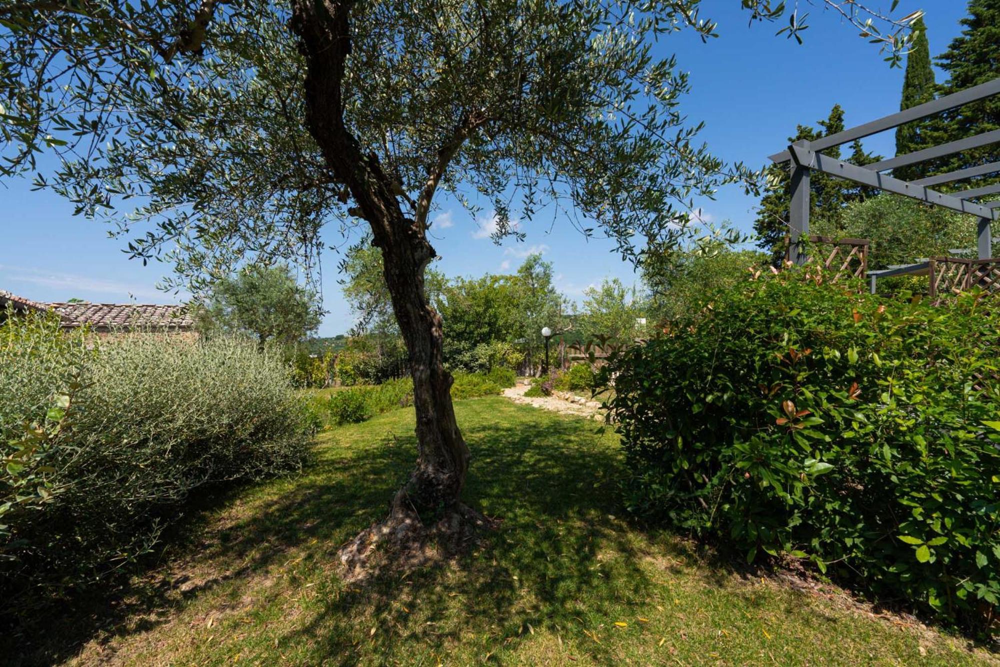 Casa Alta Lägenhet Greve in Chianti Exteriör bild