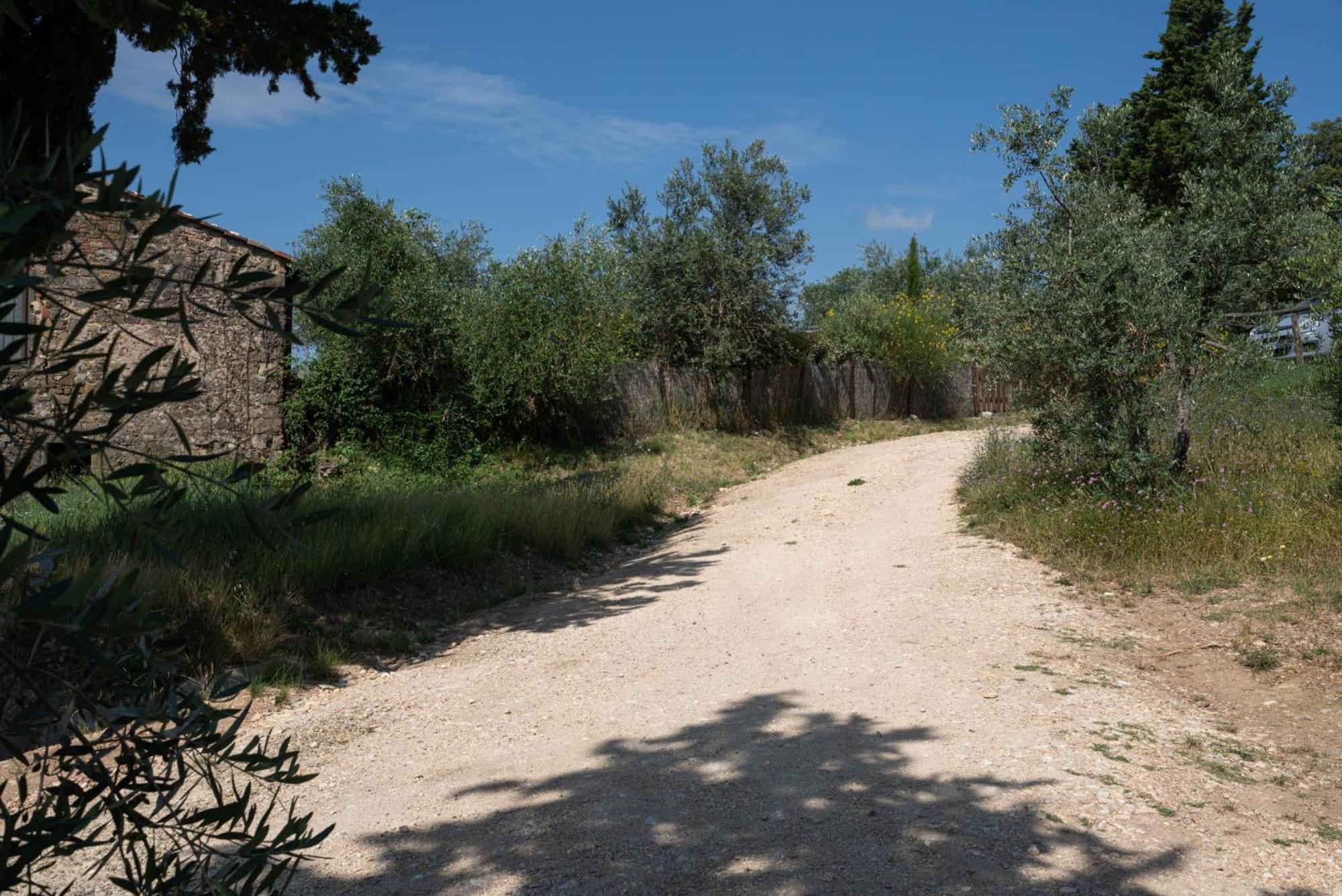 Casa Alta Lägenhet Greve in Chianti Exteriör bild